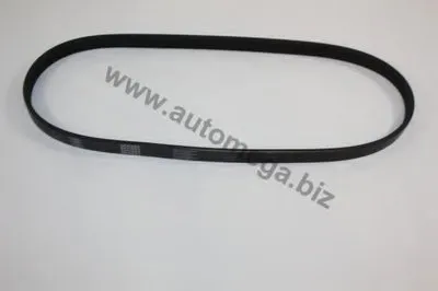 V-Ribbed Belts AutoMega Premium AUTOMEGA купить