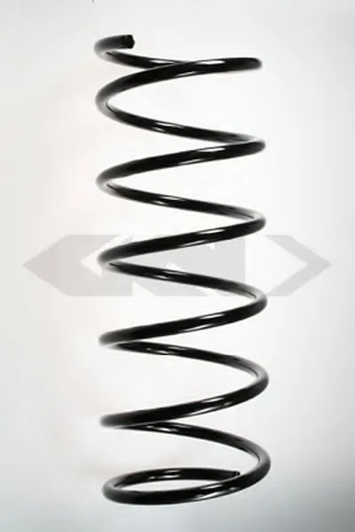 винтовая пружина SPIDAN купить