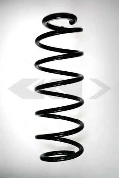 винтовая пружина SPIDAN купить