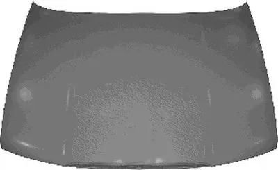 Капот двигателя VAN WEZEL купить