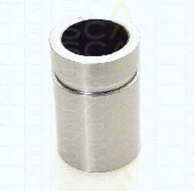 Поршень, корпус скобы тормоза TRISCAN купить