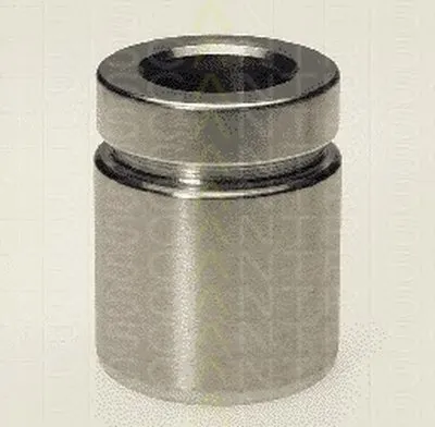 Поршень, корпус скобы тормоза TRISCAN купить