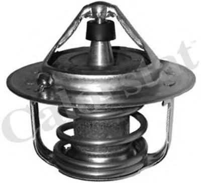 Термостат, охлаждающая жидкость CALORSTAT by Vernet купить