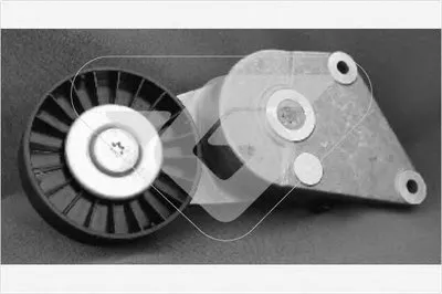 Натяжной ролик, поликлиновой  ремень HUTCHINSON купить