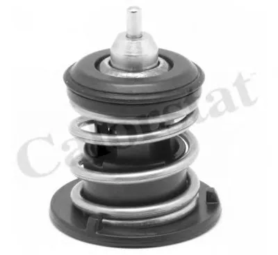 Термостат, охлаждающая жидкость CALORSTAT by Vernet купить