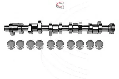 Комплект распредвала CAMPRO купить