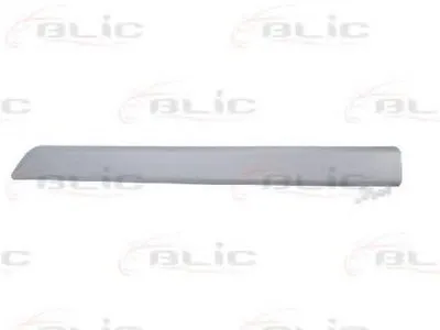 Облицовка / защитная накладка, дверь BLIC купить