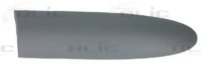 Облицовка / защитная накладка, дверь BLIC купить