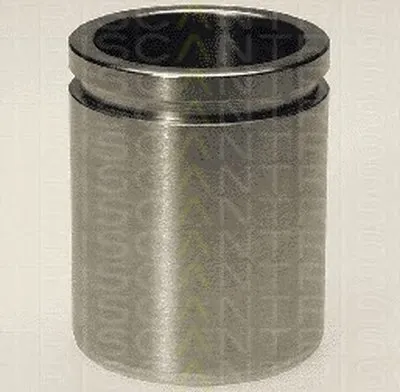 Поршень, корпус скобы тормоза TRISCAN купить