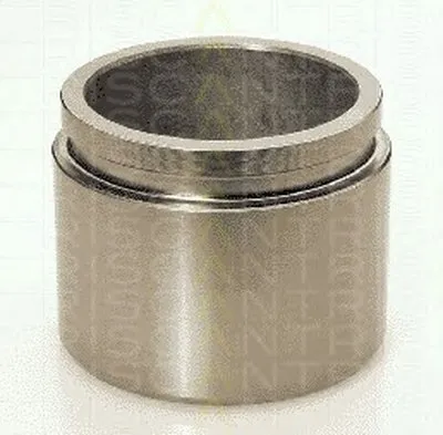 Поршень, корпус скобы тормоза TRISCAN купить