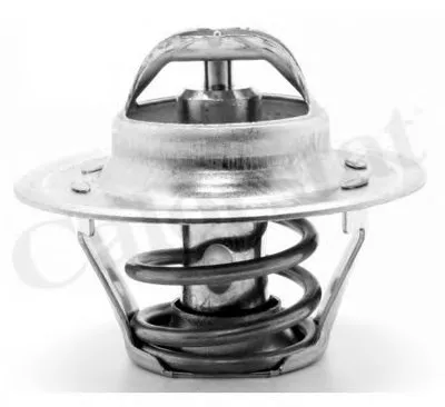 Термостат, охлаждающая жидкость CALORSTAT by Vernet купить