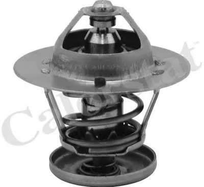 Термостат, охлаждающая жидкость CALORSTAT by Vernet купить