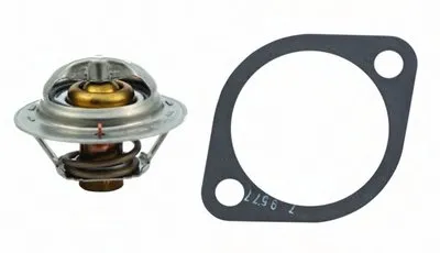 Термостат, охлаждающая жидкость HOFFER купить