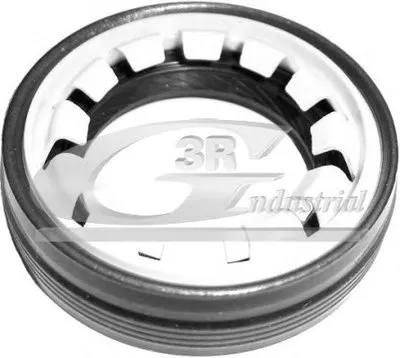 Уплотняющее кольцо, дифференциал 3RG купить