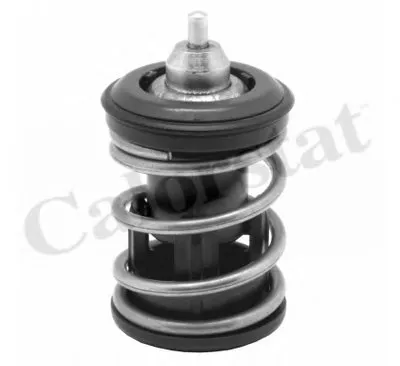 Термостат, охлаждающая жидкость CALORSTAT by Vernet купить