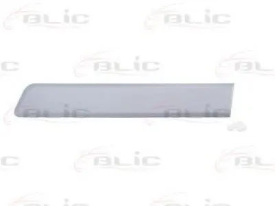 Облицовка / защитная накладка, дверь BLIC купить