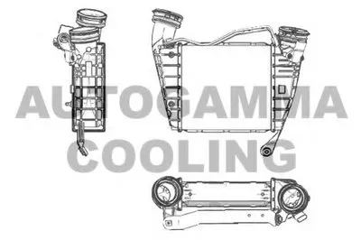 Интеркулер AUTOGAMMA купить