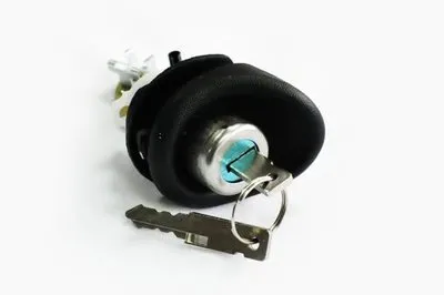 Цилиндр замка ASAM купить