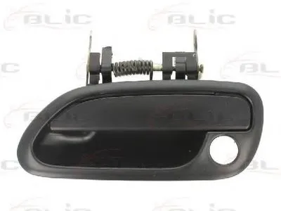 Ручка двери BLIC купить