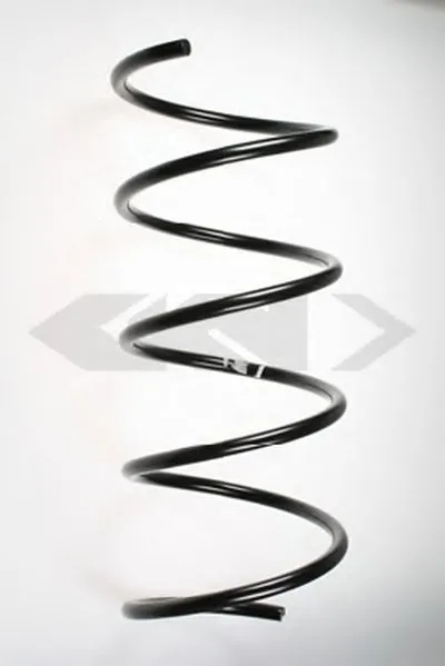 винтовая пружина SPIDAN купить