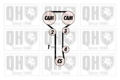 Ремень ГРМ QUINTON HAZELL купить