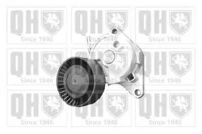 Натяжная планка, поликлиновой ремень QUINTON HAZELL купить