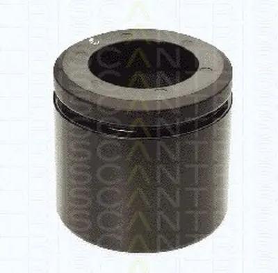 Поршень, корпус скобы тормоза TRISCAN купить