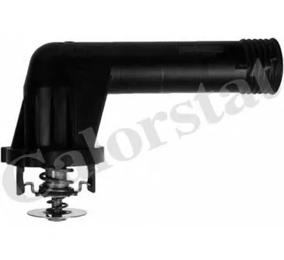 Термостат, охлаждающая жидкость CALORSTAT by Vernet купить