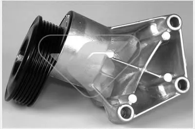 Натяжной ролик, поликлиновой  ремень HUTCHINSON купить