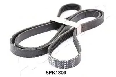 V-Ribbed Belts ASHIKA купить