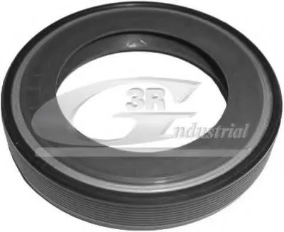 Уплотняющее кольцо, дифференциал 3RG купить