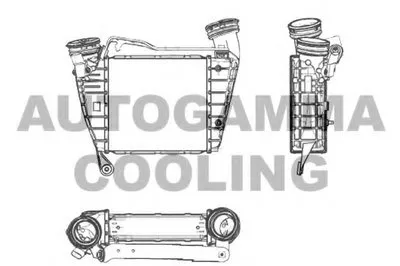 Интеркулер AUTOGAMMA купить