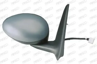 Наружное зеркало PRASCO купить