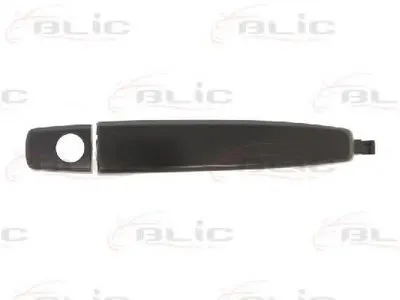 Ручка двери BLIC купить