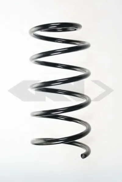 винтовая пружина SPIDAN купить