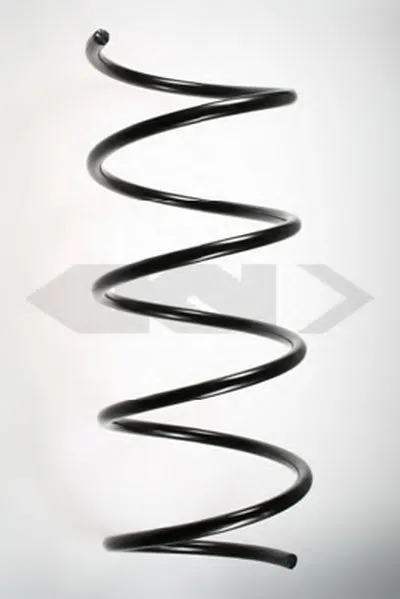 винтовая пружина SPIDAN купить