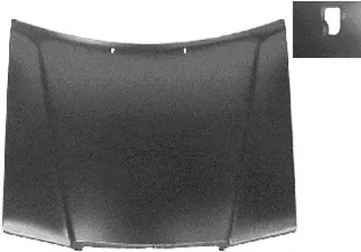 Капот двигателя VAN WEZEL купить