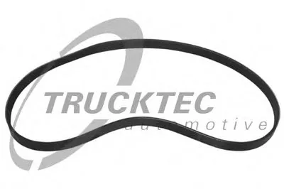 V-Ribbed Belts TRUCKTEC AUTOMOTIVE купить