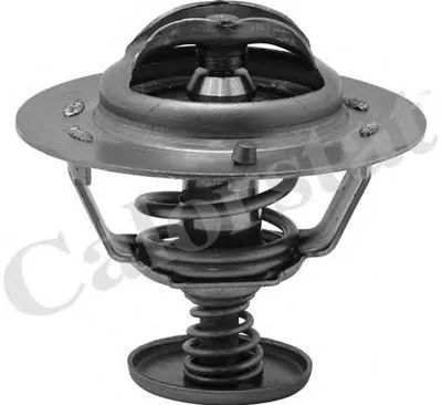 Термостат, охлаждающая жидкость CALORSTAT by Vernet купить