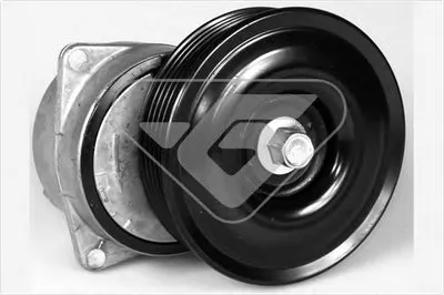 Натяжной ролик, поликлиновой  ремень HUTCHINSON купить