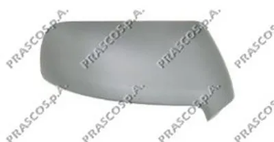 Покрытие, внешнее зеркало PRASCO купить