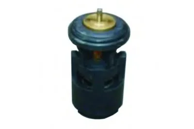 Термостат, охлаждающая жидкость MASTER-SPORT купить