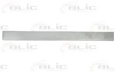 Дверь, кузов BLIC купить