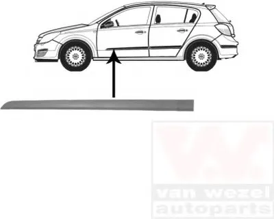 Облицовка / защитная накладка, дверь VAN WEZEL купить