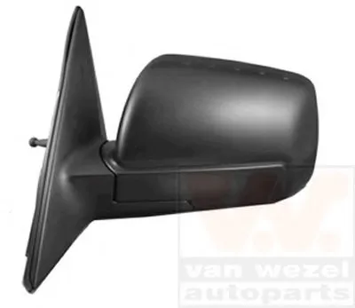 Наружное зеркало VAN WEZEL купить
