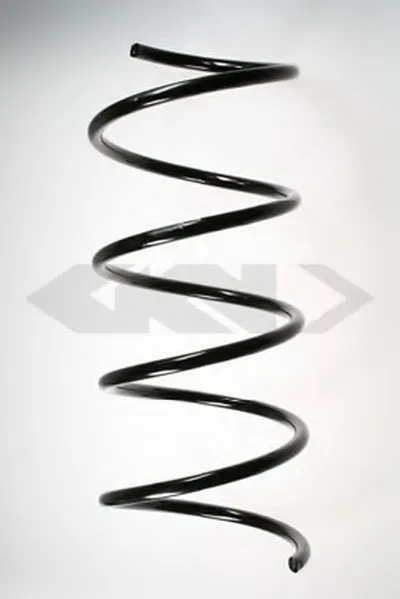 винтовая пружина SPIDAN купить