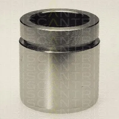 Поршень, корпус скобы тормоза TRISCAN купить