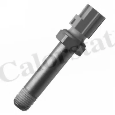 Выключатель с гидропроводом CALORSTAT by Vernet купить