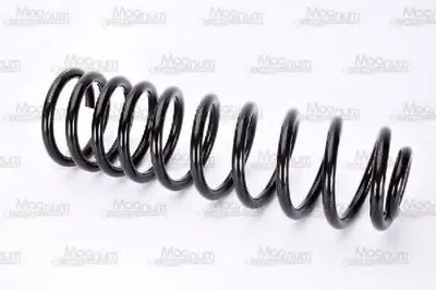 винтовая пружина Magnum Technology купить