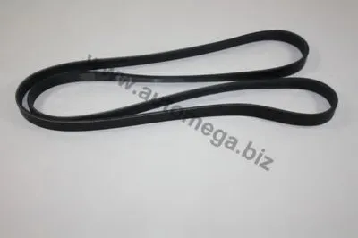 V-Ribbed Belts AutoMega Premium AUTOMEGA купить